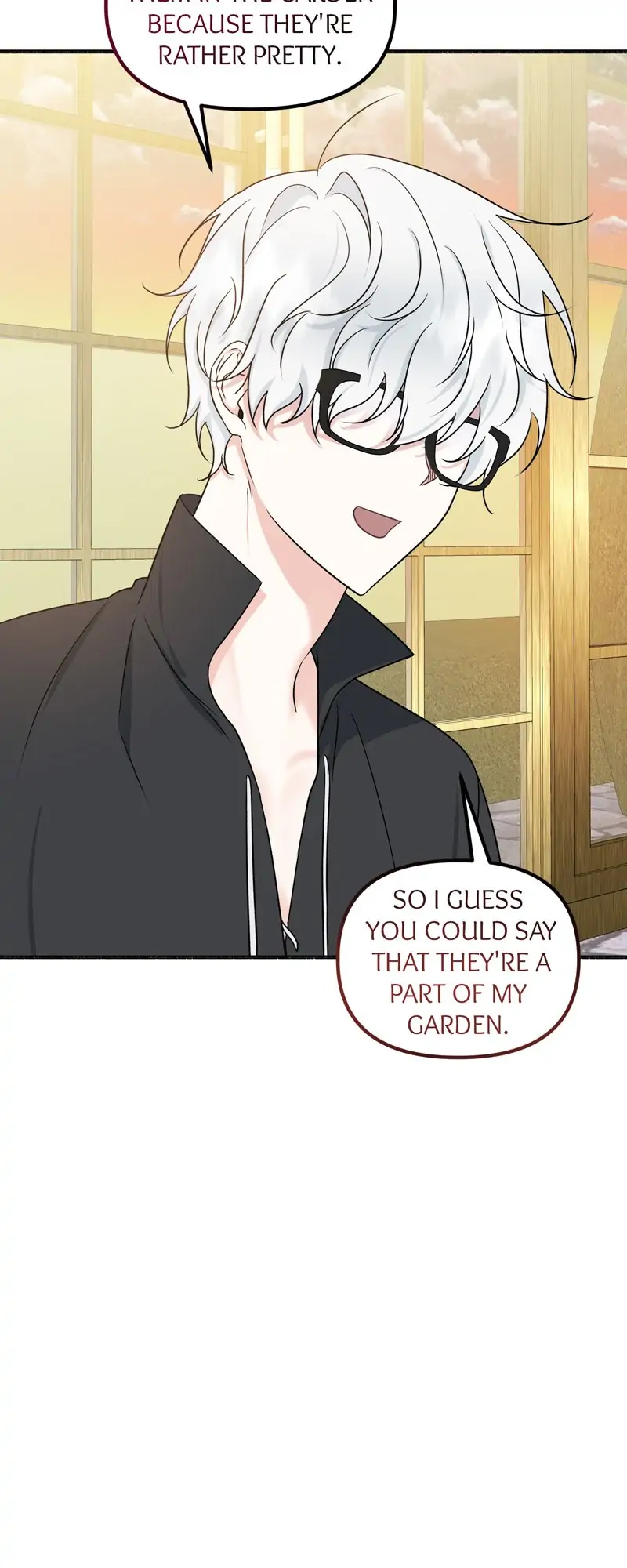 32997655 800 2000 62620